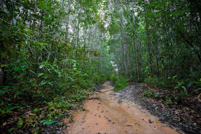 Tour de aventura en la selva amazónica