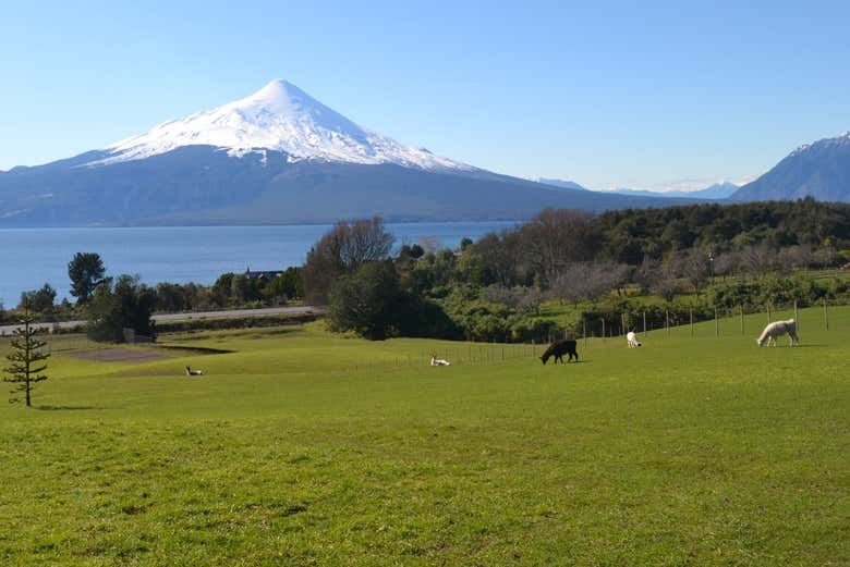 Excursión a los Saltos de Petrohué y volcán Osorno
