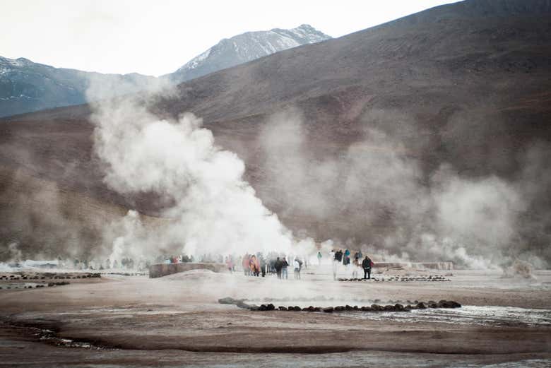 Excursión a los géiseres de El Tatio y Laguna Machuca