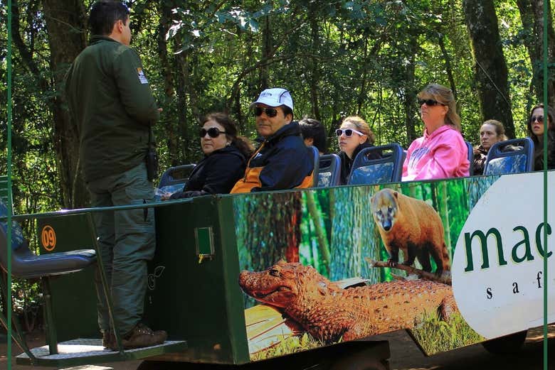 Tour de aventura en Macuco Safari