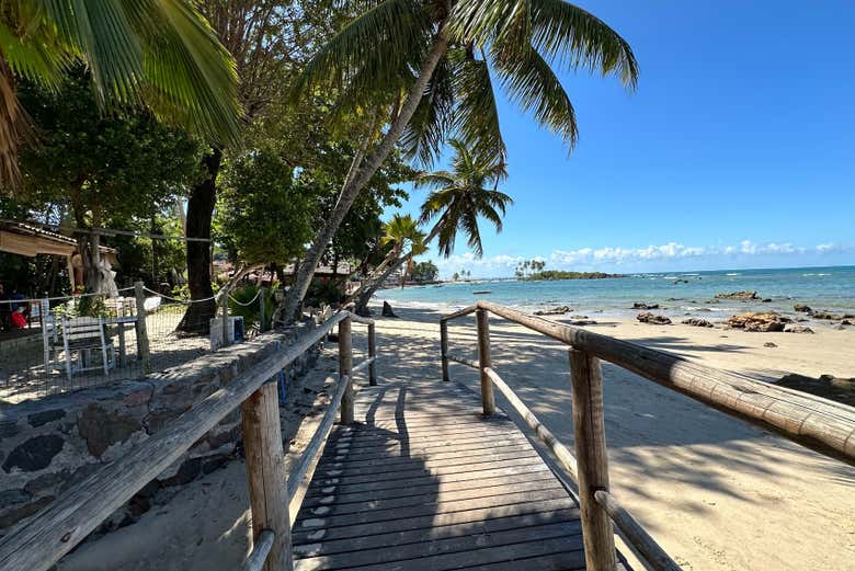 Excursión a Morro de São Paulo