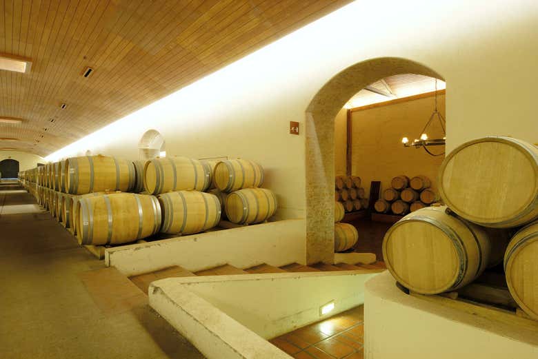Excursión a la Viña Concha y Toro