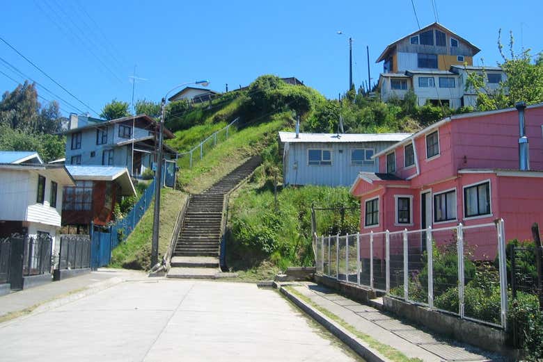 Excursión privada a la isla Calbuco