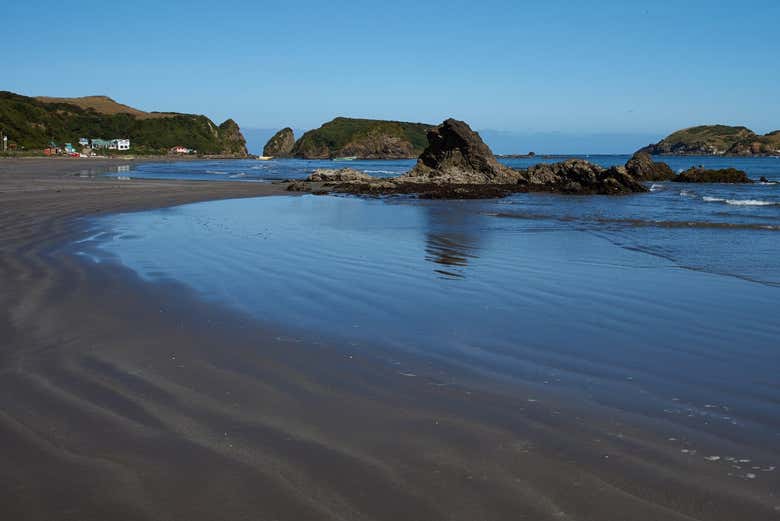 Isla de Chiloé: Chacao, Ancud y pingüinos de Puñihuil