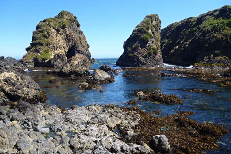 Isla de Chiloé: Chacao, Ancud y pingüinos de Puñihuil