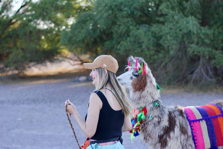 Senderismo con llamas + Ceremonia ancestral en el desierto de Atacama