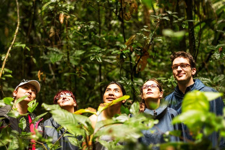 Tour por la selva amazónica y las islas Anavilhanas
