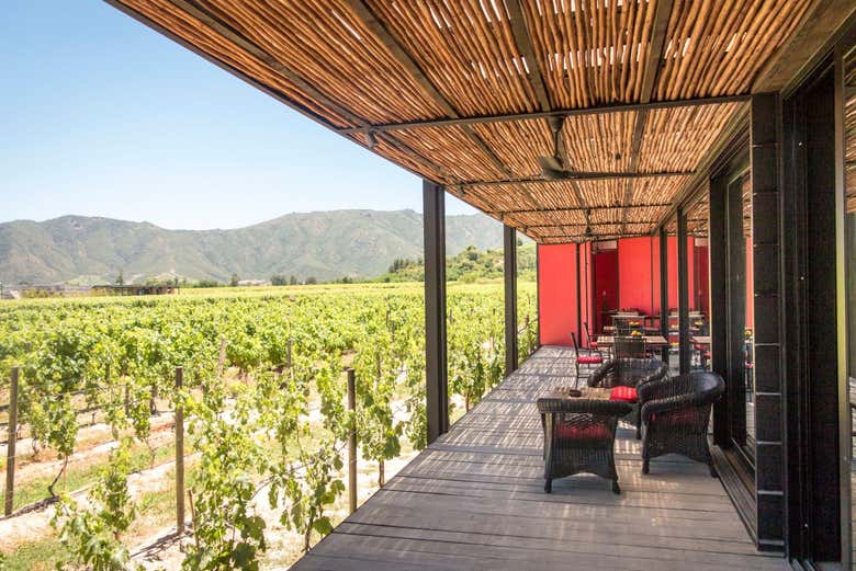 Excursión a las viñas del Valle de Colchagua