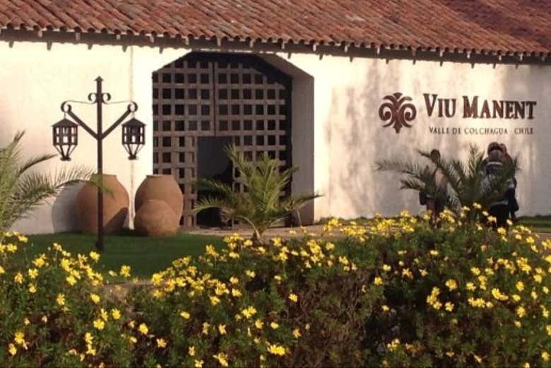 Excursión a las viñas del Valle de Colchagua
