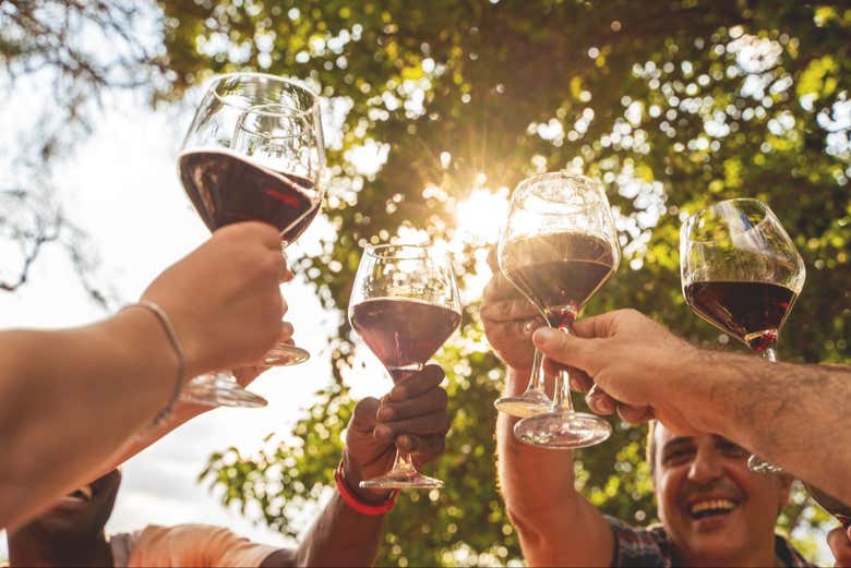 Excursión a las viñas del Valle de Colchagua