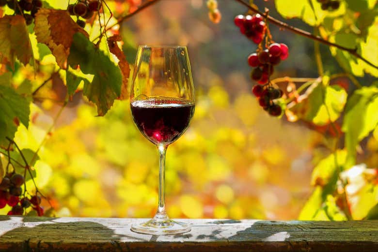 Excursión a las viñas del Valle de Colchagua