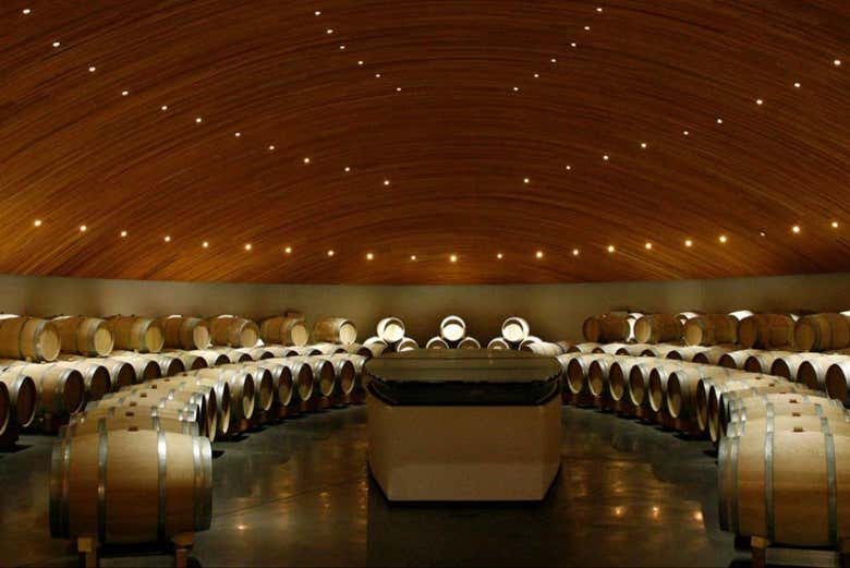 Excursión a las viñas del Valle de Colchagua