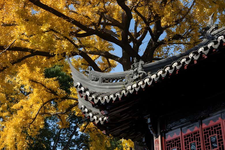 Entrada al Jardín Yuyuan