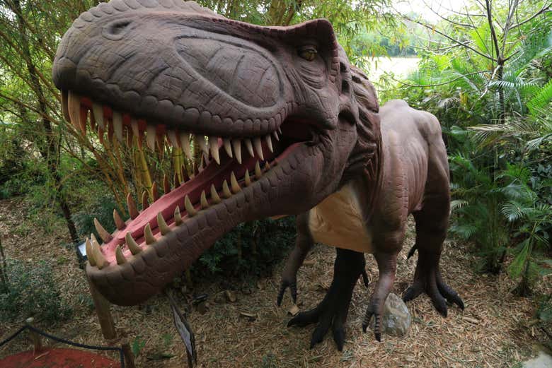 Entrada al parque Dino Adventure