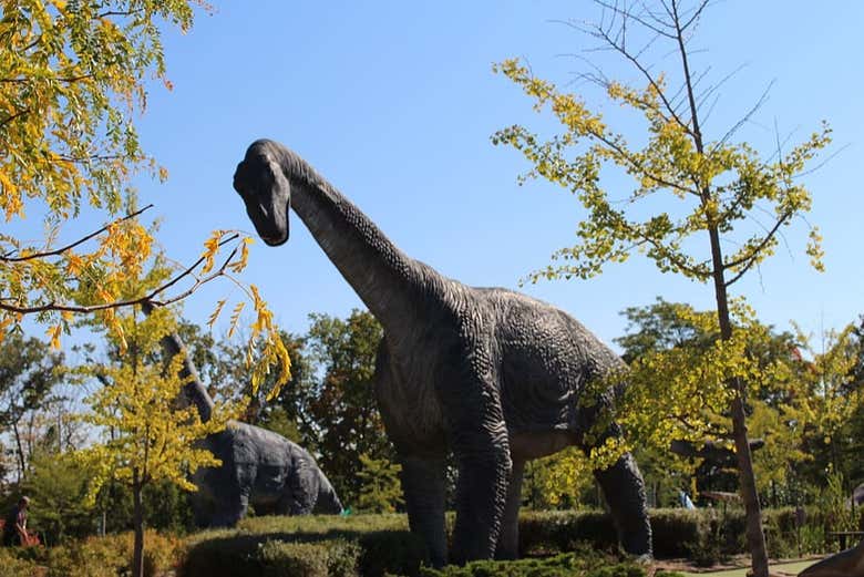 Entrada al parque Dino Adventure