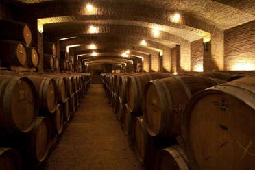 Excursin a la Via Undurraga