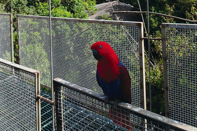 Excursión a Pomaire y el Parque Tricao