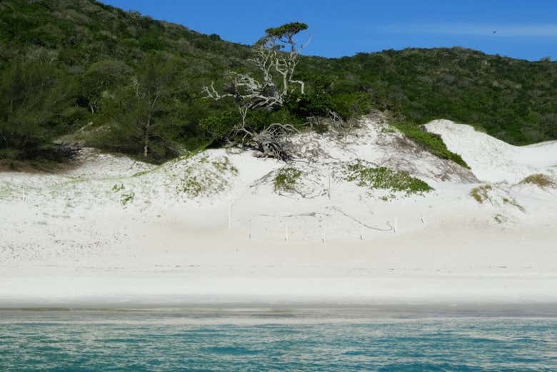 Excursión a Arraial do Cabo + Paseo en barco