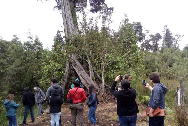 Tour por los pueblos de la Carretera Austral