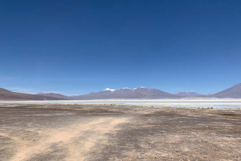 Excursión privada a Ollagüe y los salares del Alto del Loa
