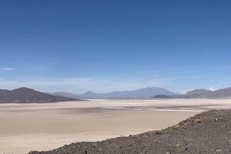 Excursión privada a Ollagüe y los salares del Alto del Loa