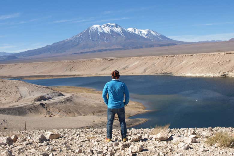 Excursión privada a Chiu Chiu y el volcán Poruña