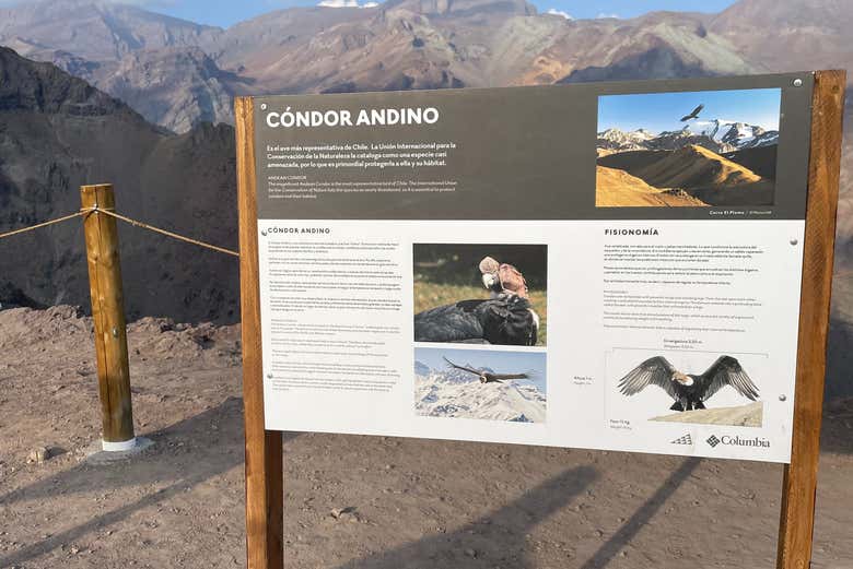 Excursión al Valle Nevado al atardecer