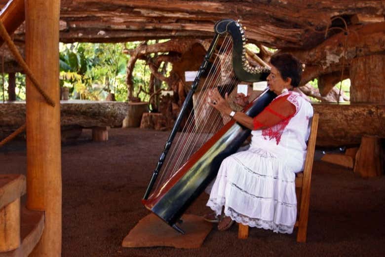 Excursión a Puerto Iguazú