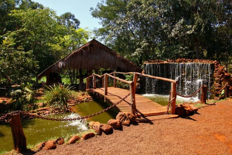 Excursión a Puerto Iguazú