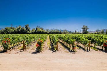 Excursin a Isla Negra, Pomaire y Via Undurraga