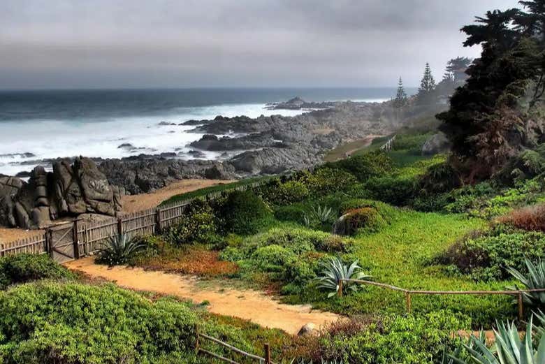 Excursión a Isla Negra, Pomaire y Viña Undurraga