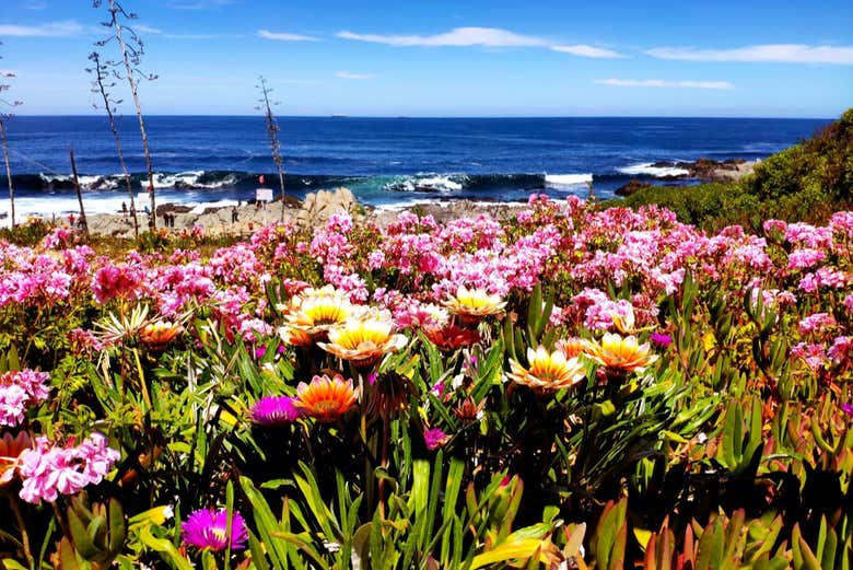 Excursión a Isla Negra, Pomaire y Viña Undurraga