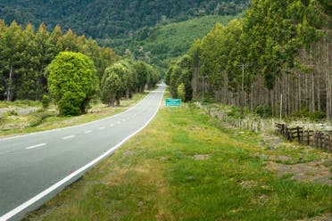 Excursin a Cocham y Termas del Sol
