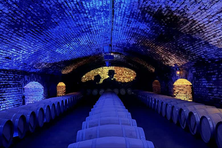 Tour del vino Casillero del Diablo en la Viña Concha y Toro + Cena