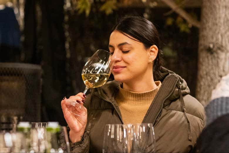 Tour del vino Casillero del Diablo en la Viña Concha y Toro + Cena