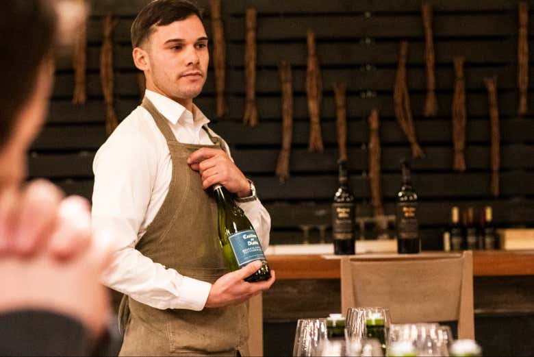 Tour del vino Casillero del Diablo en la Viña Concha y Toro + Cena
