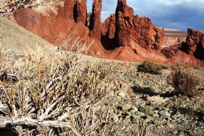 Excursión al valle del Arcoíris