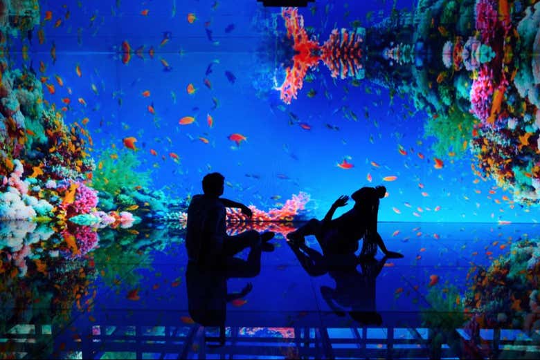 Tour por AquaRio y el Museo del Mañana