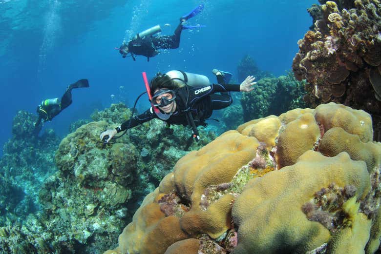 Bautismo de buceo en Búzios