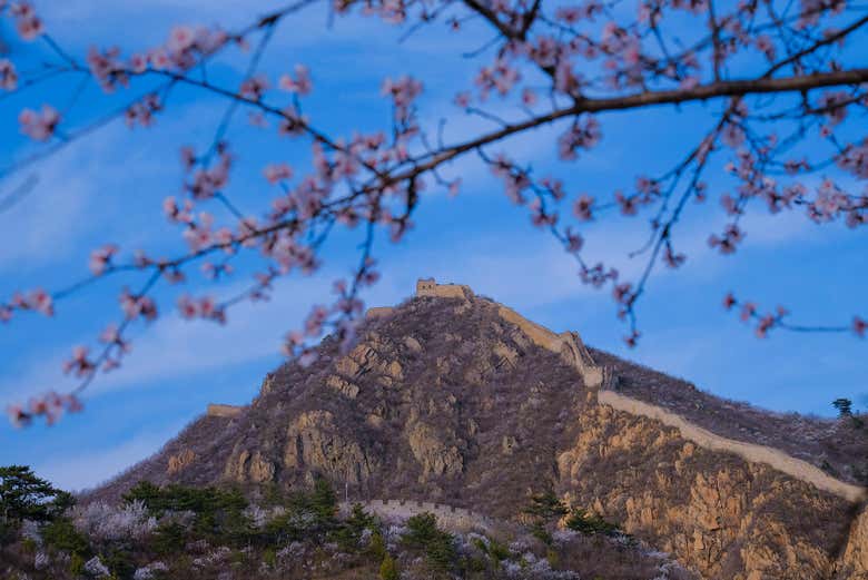 Excursión a la Gran Muralla China de Huanghuacheng