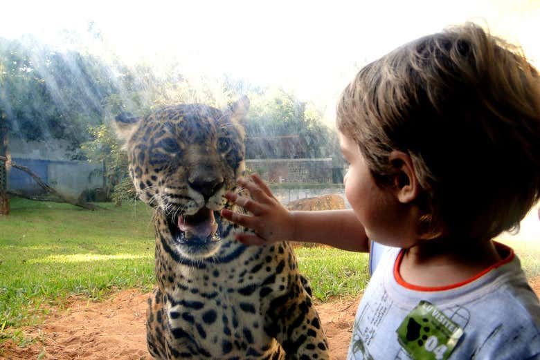 Senderismo por el Refugio Biológico de Itaipú