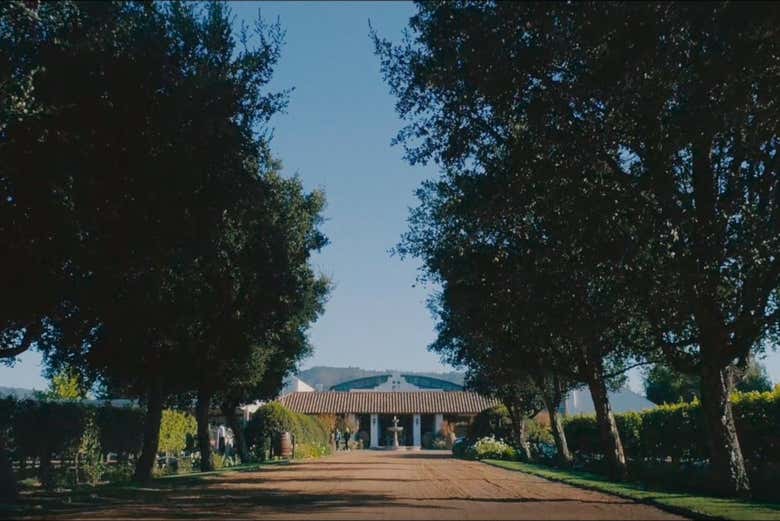 Visita a la viña Casas del Bosque