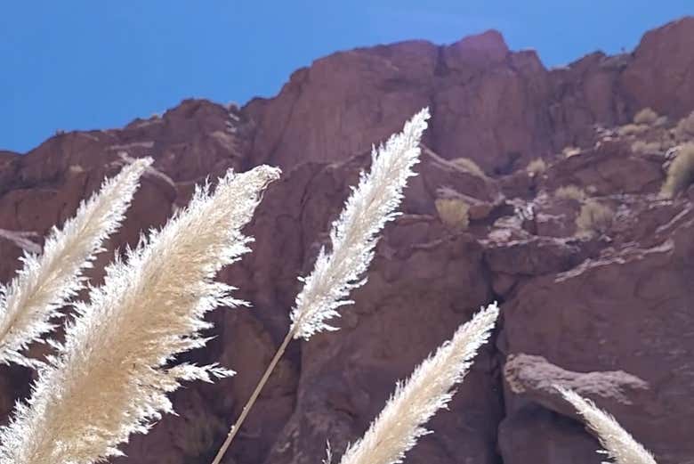 Senderismo por la quebrada del río Puritama