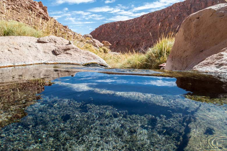 Senderismo por la quebrada del río Puritama