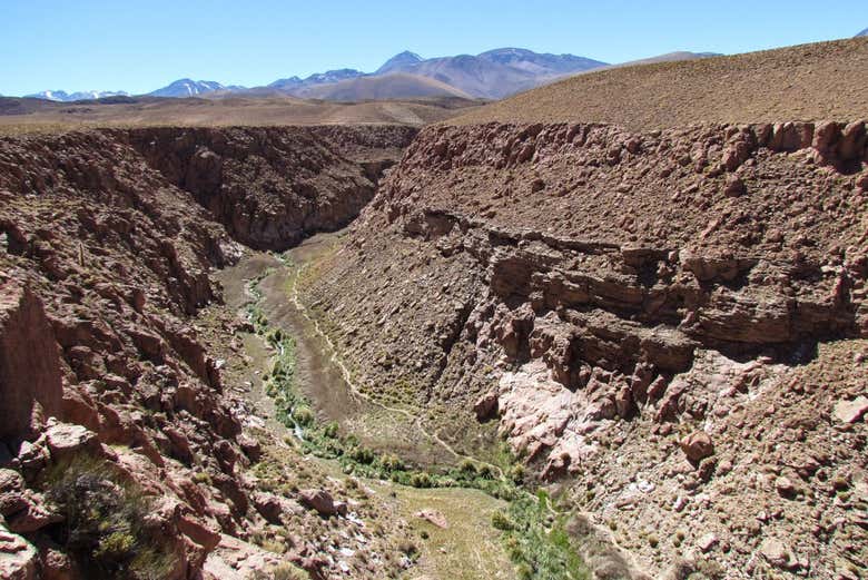 Senderismo por la quebrada del río Puritama