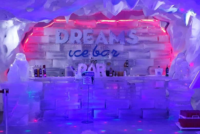Entrada al Dreams Ice Bar