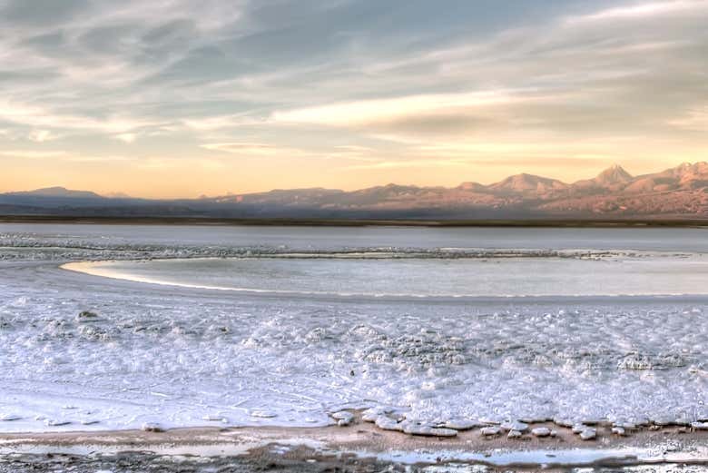 Excursión a la laguna Cejar, Tebenquiche y los Ojos del Salar