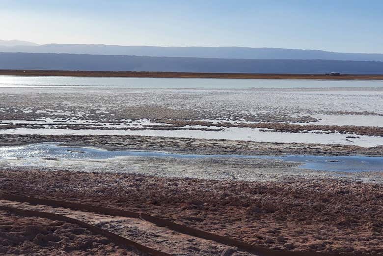 Excursión a la laguna Cejar, Tebenquiche y los Ojos del Salar