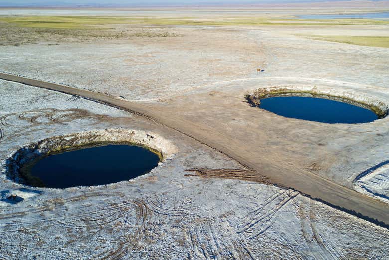 Excursión a la laguna Cejar, Tebenquiche y los Ojos del Salar