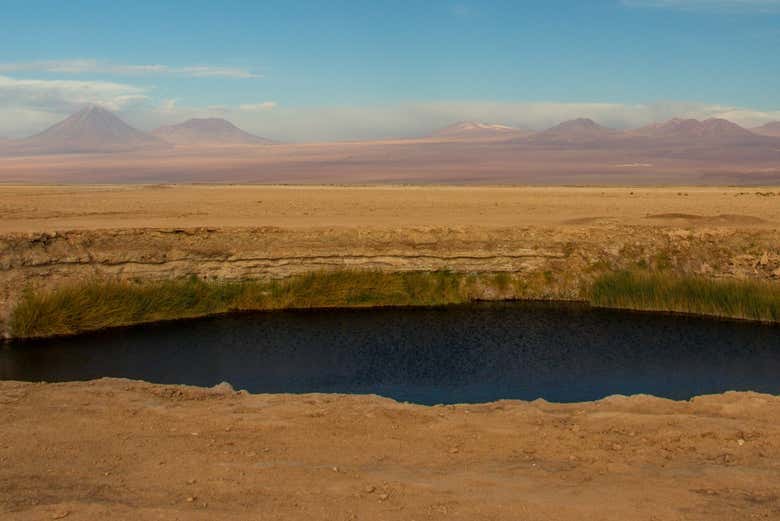 Excursión a la laguna Cejar, Tebenquiche y los Ojos del Salar